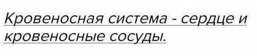 6. Назовите органы, обеспечивающие транспорт веществ у животных. [2] ​