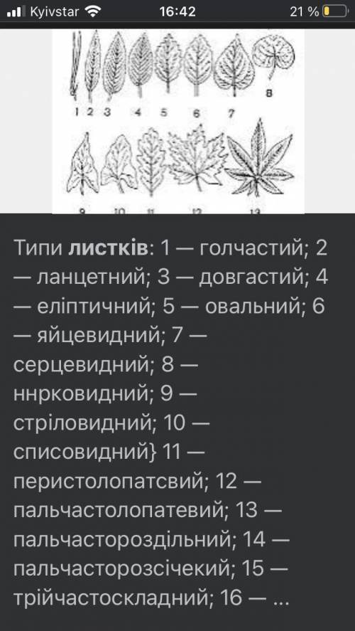 Что значит написать виды листьев??​