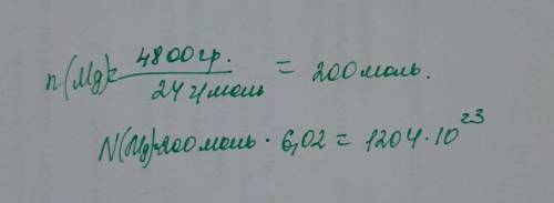 Сколько молекул содержится в 4.8кг магния​