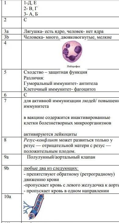 СОЧ по биологии за 2 четверть 8 класс 2 вариант 1. Рассмотрите рисунок и установите соответствие 1.К