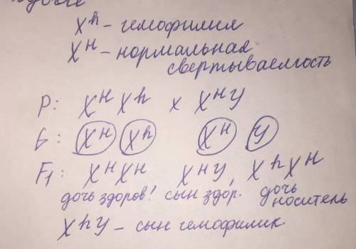 В семье, где родители имеют нормальную свертываемость крови, сын-гемофилии. Гены нормальной свертыва