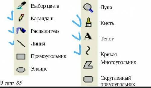 6 задание. Укажите инструменты графического редактора​