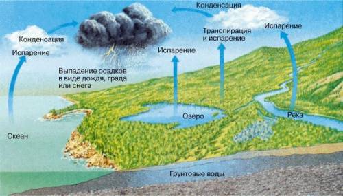 00% 3112у= , = = Pe12Image options12 тгReplace13141167По естествознанию 4 классЗадание 7. Подпиши не