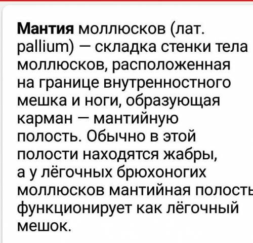 Что такое мантия в биологии​