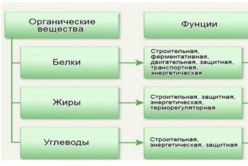 Для чего нужны белки жиры и углеводы?​