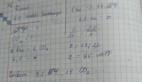 в процессе диссимиляции полностью расщепляется 2,5 молекулы глюкозы определите количество синтезиров