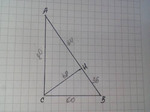 В прямоугольном треугольнике ABC его катет равно на 60 см, а его проекция на гипотенузу 36 см. Нарис