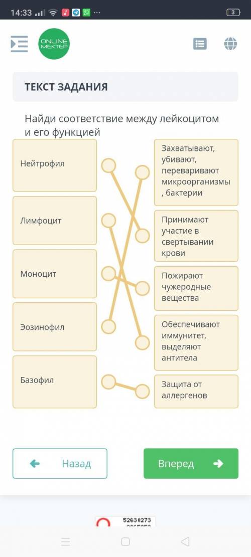 Найдите соответствие между лейкоцитами и их функциями​