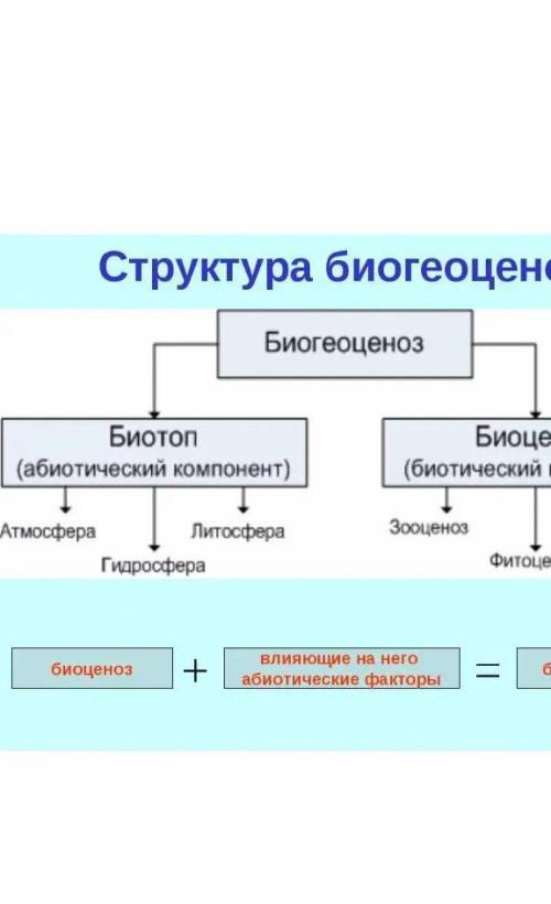 Строение и свойства биогеоценоза.Плз нужно кратко расписать.