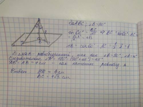 к плоскости альфа из точки а проведены две наклонные ад ас перпендикуляр АВ . Найдите длины проэкции