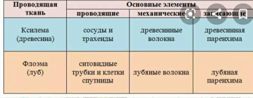 Обязательные характеристики ксилемы​