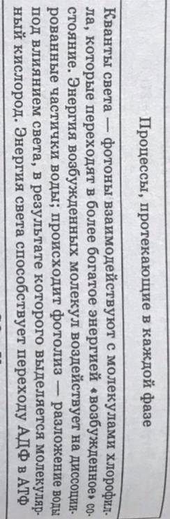 Что происходит с энергией В световой фазе (фотосинтеза)?