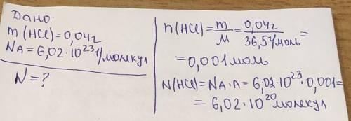 Скільки молекул містиця в 0,04 грама HCe​