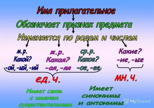 найти прилагательные в тексте кто тому поставлю пять звёзд​