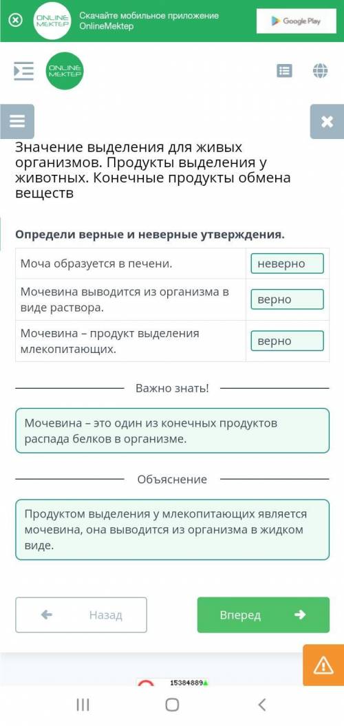 Значение выделения для живых организмов. Продукты выделения у животных. Конечные продукты обмена вещ