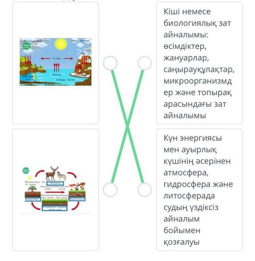 Суреттерді оған сәйкес анықтамаларымен сәйкестендір . Кіші немесе биологиялық зат айналымы : өсімдік