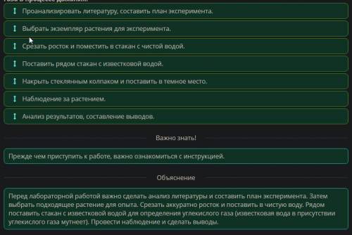 Продукты выделения у растений: начальные и конечные продукты фотосинтеза и дыхания. Лабораторная раб