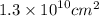 1.3 \times {10}^{10} {cm}^{2}