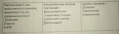 Укажіть правильні твердження щодо енергетичного обміну. 1. В еукаріотичних клітинах пов'язаний з фун