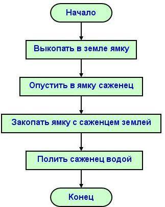 1.Приведите примеры линейных алгоритмов, которые встречаются в нашей жизни.2. Найдите ошибки в прогр