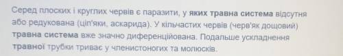 Чи є у природі тварини, в яких відсутня травна система