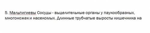 Өз білімдеріңді тексеріңдер: 1 Біржасушалыларда ... зәр шығару қызметін атқарады.2Қарапайымдардың ор