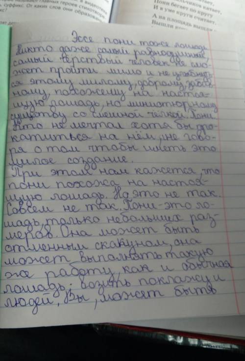 47. Напиши эссе-рассуждение на тему пони тоже лошадь​