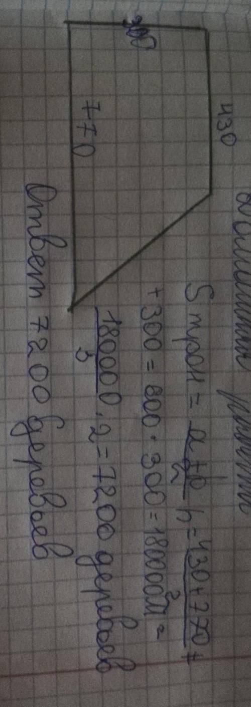 Компания выиграла тендер на озеленение участка земли в виде прямоугольной трапеции, с основаниями 43