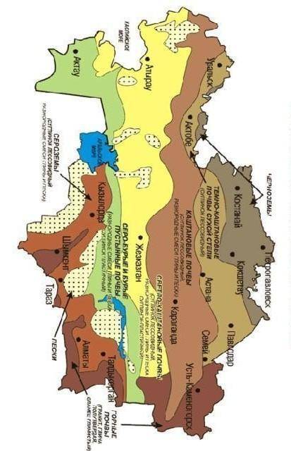 Обозначьте на контурной карте распространение вид почв в Казахстане.Какие типы почвы распространены