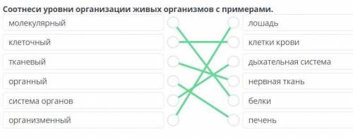 Соотнеси уровни организации живых организмов с примерами. молекулярный клеточный тканевый органный с