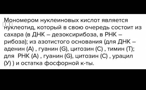 1. Что является мономером нуклеиновых кислот? Какая часть мономера отличает один нуклеотид ДНК от др