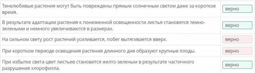 Определи, какие выводы являются верными. Тенелюбивые растения могут быть повреждены прямым солнечным