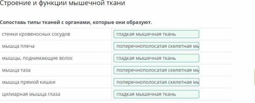 Сопоставь типы тканей с органами , которые они образуют .​