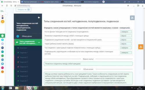 Типы соединения костей: неподвижное, полуподвижное, подвижное 9 - Определи, какие утверждения о ти