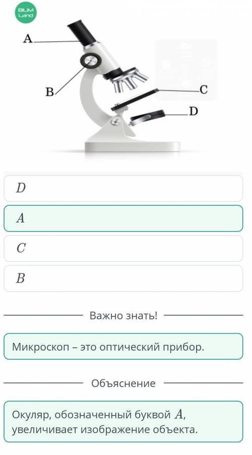 Микроскопические исследования живых организмов определи по рисунку, какая часть микроскопа увеличива