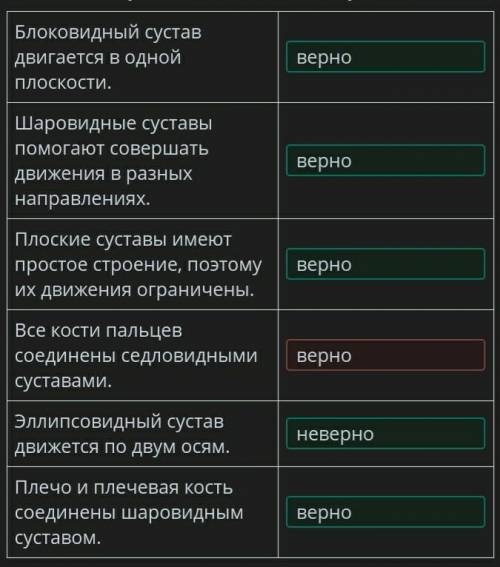 Определи ,какие утверждения о типах суставов являются верными,а какие нет? ответы :верно; неверно