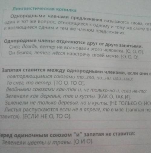 358Б. Составь схемы однородных членов первого и второго предло- жений. Сформулируй правило постановк