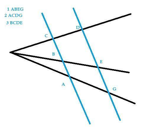 Три луча, выходящие из одной точки, пересечены двумя параллельными прямыми. Сколько при этом получил