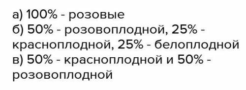 У земляники красный цвет плодов доминантный , а белый рецессивный. При скрещивании красноплодной и б