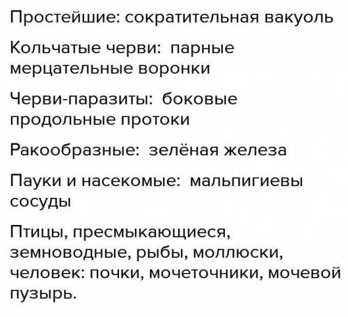 «Органоиды и органы выделения у животных» Животное Органоид или орган выделения Простейшие Кольчатые