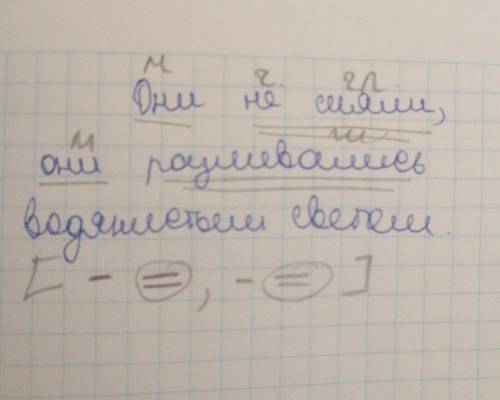 Разберите предложение Они не сияли , они разливались водянистым светом. со схемкой.