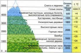 Приведите пример в виде рисунка или схемы высотную поясность горы ​