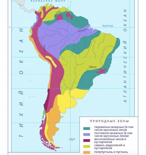 Характеристика природных зон Южной Америки​