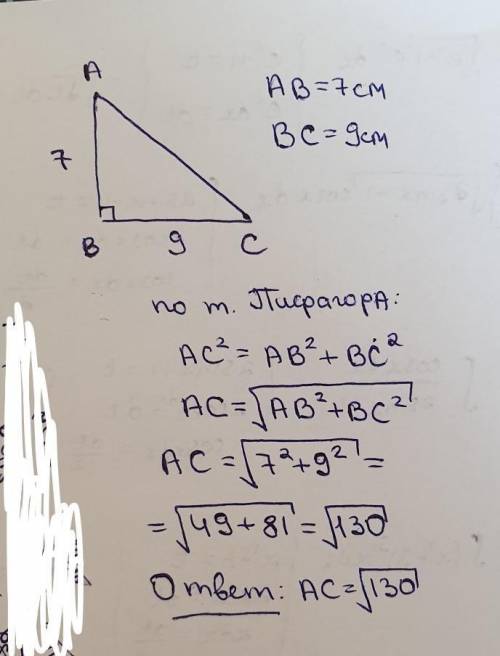 В прямокутному трикутнику катети дорівнює 7 і 9 см знайти гіпотенузу