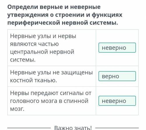 Определи верные и неверные утверждения о строении и функциях периферической нервной системы. Нервные