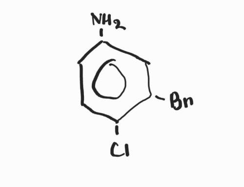 Напишите структурную формулу 1 – амино – 3 – бромо – 4 – хлоробензола;