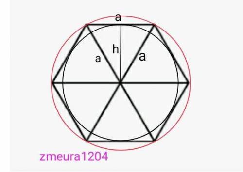 Радиус окружности, описанной около правильного шестиугольника равен 3 см. Найди радиус окружности, в