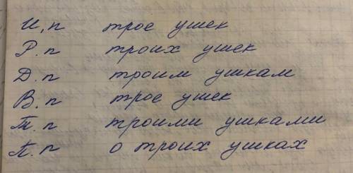 Просклоняй словосочетания трое ушек упражнение 338 по русскому языку​