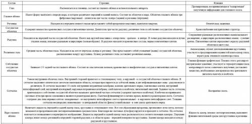 Выписать строение глаза в виде таблице (из трех граф)состав глаза строение функциявыписать заболеван