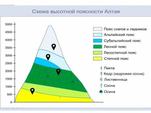 2.Какие компоненты образуют природную зону Постройте схему высотной поясности в горах Алтая: у подно